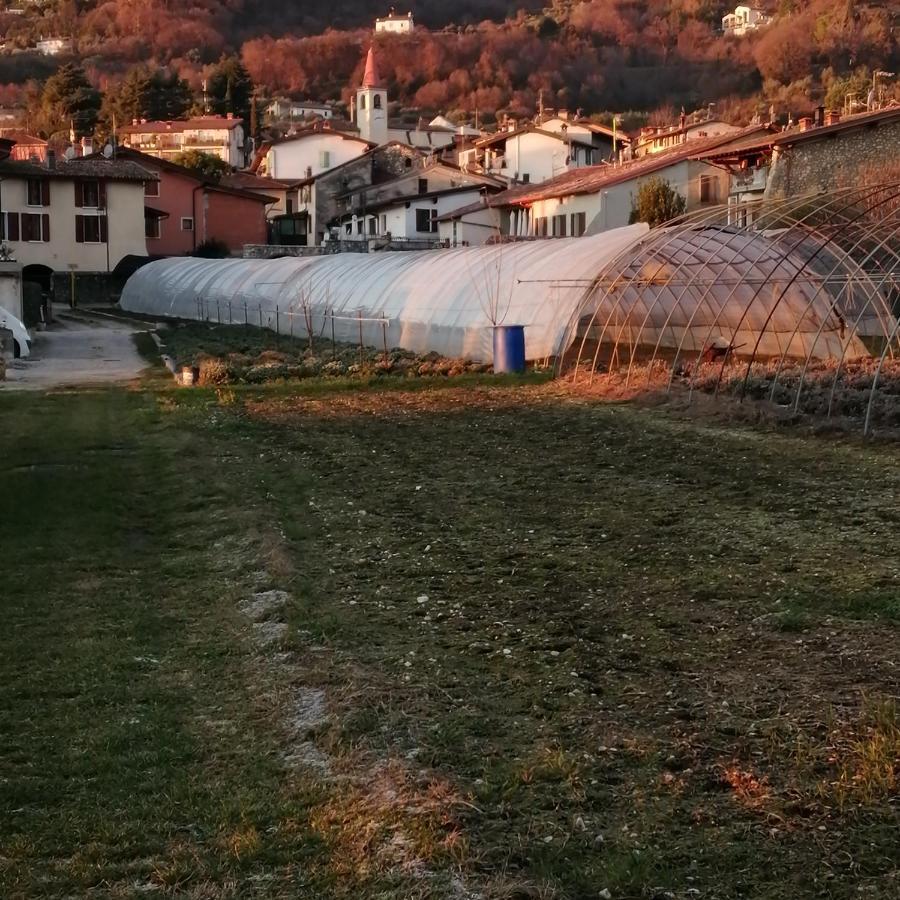 Agriturismo Corte Fontana App. Barbara サロ エクステリア 写真